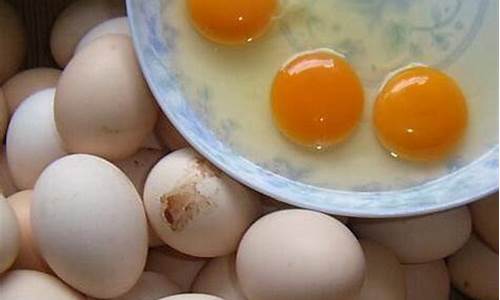 土鸡蛋好还是饲料蛋好_土鸡蛋与饲料蛋的营养哪个要好一点